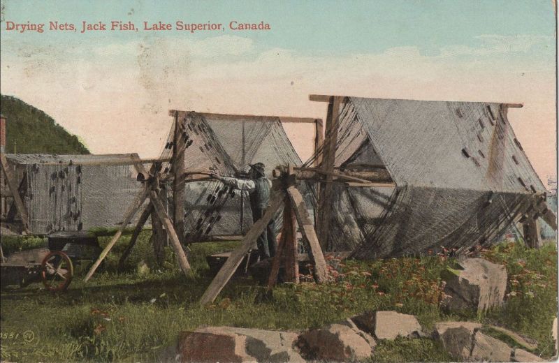 Ansichtskarte Kanada - Kanada - Lake Superior - Drying Nets Jack Fish aus der Kategorie Sonstiges
