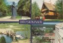 Ansichtskarte der Kategorie: Orte und Länder - Europa - Litauen - Druskininkai