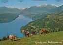 Ansichtskarte der Kategorie: Orte und Länder - Europa - Österreich - Landschaften - Gewässer - Seen - Millstätter See
