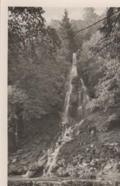 Ansichtskarte Trusetal - Trusetaler Wasserfall - ca. 1955 aus der Kategorie Trusetaler Wasserfall
