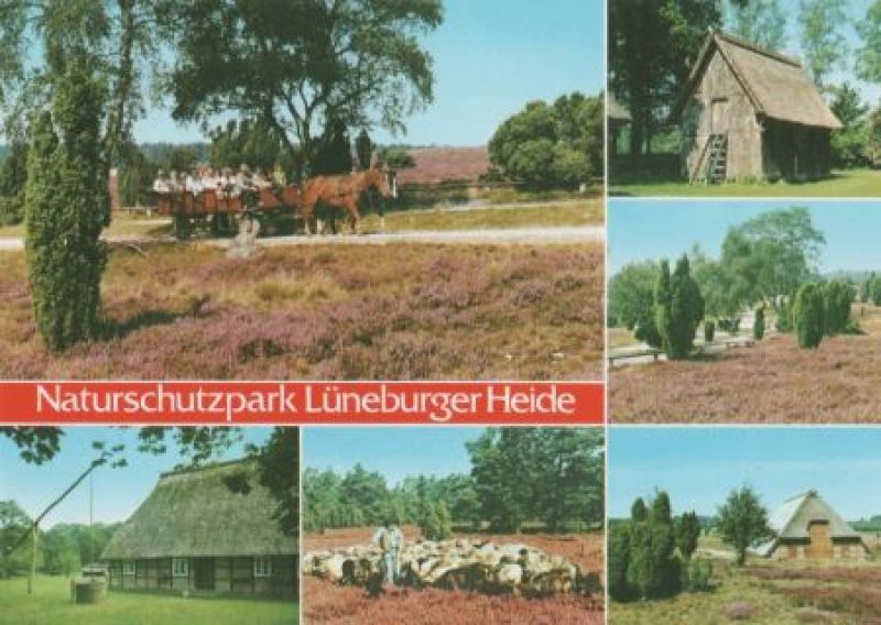 Ansichtskarte Lüneburger Heide - ca. 1995 aus der Kategorie Lüneburger Heide
