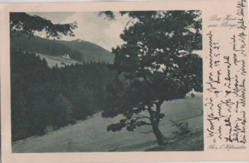 Ansichtskarte Harz - Das Haus am Berge - 1925 aus der Kategorie Harz