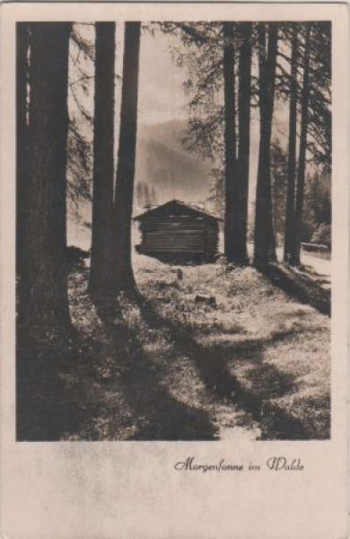 Ansichtskarte Morgensonne im Walde - ca. 1950 aus der Kategorie Natur