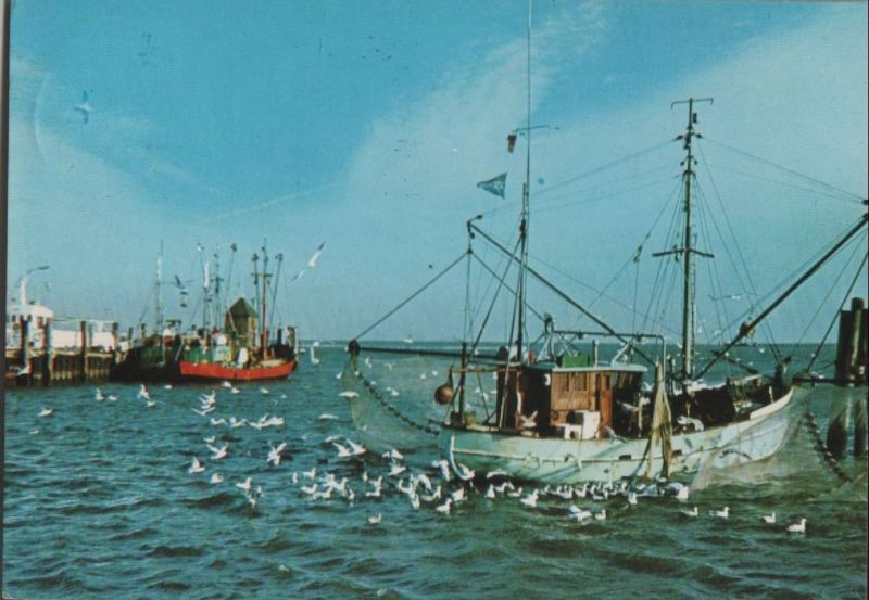 Ansichtskarte Krabbenfischer - 1980 aus der Kategorie im Freien
