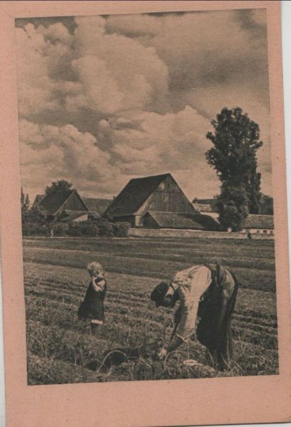 Ansichtskarte Bauer auf dem Feld - ca. 1950 aus der Kategorie im Freien