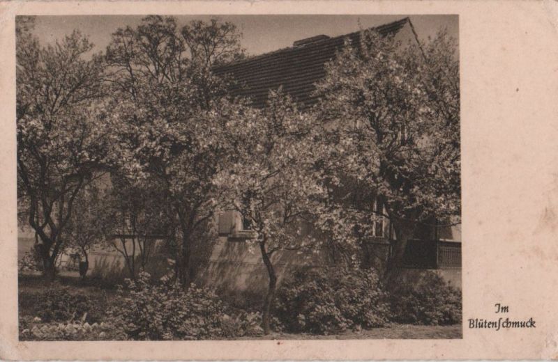 Ansichtskarte Haus im Blumenschmuck - 1941 aus der Kategorie Häuser