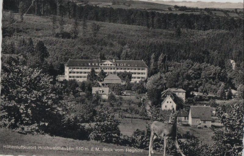 Ansichtskarte Hochwaldhausen (OT von Ilbeshausen-Hochwaldhausen) - Blick vom Hegholz - 1959 aus der Kategorie Ilbeshausen-Hochwaldhausen