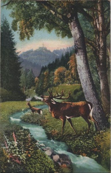 Ansichtskarte Zavelstein - Partie im Teinachtal - ca. 1920 aus der Kategorie Zavelstein