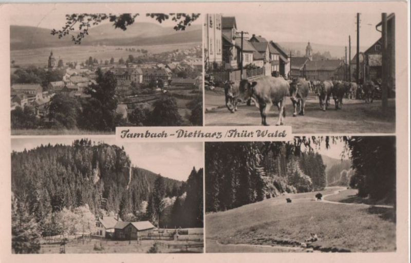 Ansichtskarte Tambach-Dietharz / Thüringer Wald			 - 4 Bilder aus der Kategorie Tambach-Dietharz