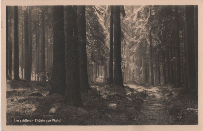 Ansichtskarte Thüringer Wald - Sonneneinfall aus der Kategorie Thüringer Wald