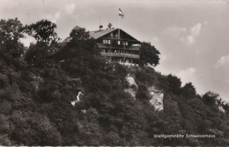 Ansichtskarte Bingen am Rhein - Waldgaststätte Schweizerhaus aus der Kategorie Bingen