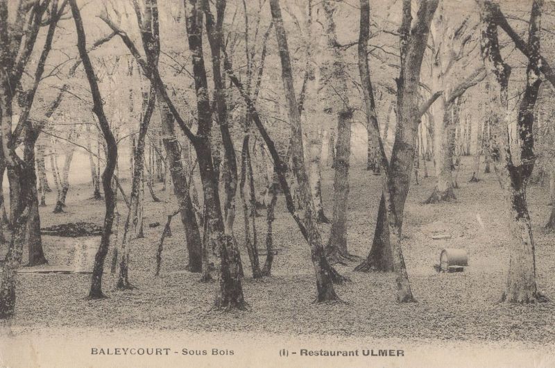 Ansichtskarte Baleycourt - Frankreich - Sous Bois aus der Kategorie Baleycourt
