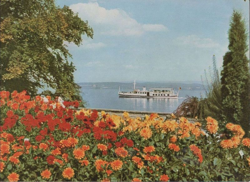 Ansichtskarte Mainau - Dahlien im Ufergarten aus der Kategorie Mainau