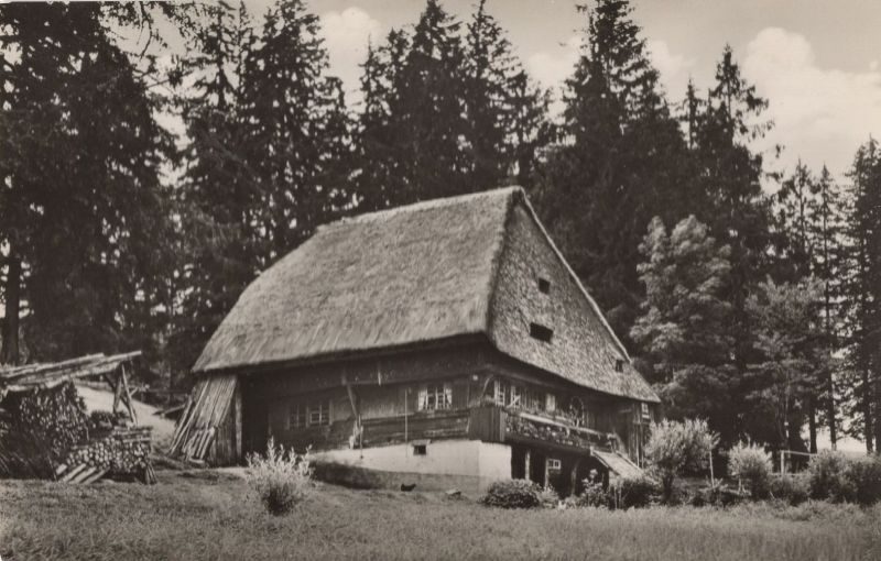 Ansichtskarte Winterberg-Altastenberg - Parkmühle aus der Kategorie Schwarzwald