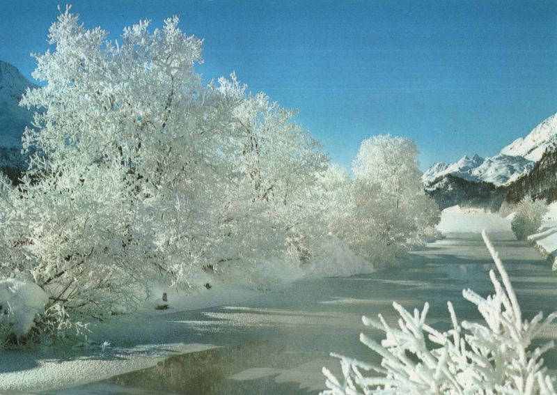 Ansichtskarte Winterbild - weiße Bäume aus der Kategorie Natur