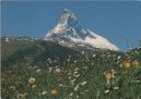 Ansichtskarte der Kategorie: Orte und Länder - Europa - Schweiz - Wallis - Visp (Bezirk) - Zermatt - Zermatt