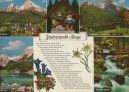 Ansichtskarte der Kategorie: Orte und Länder - Europa - Deutschland - Landschaften - Wälder - Zauberwald
